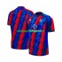 Crystal Palace Camisola m Equipamento Terceiro Manga Curta Equipamento Primeiro 2026-2027